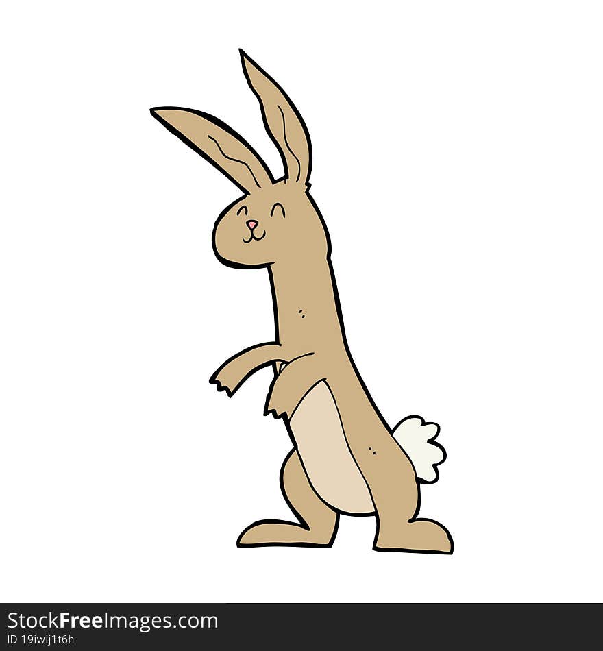 cartoon rabbit