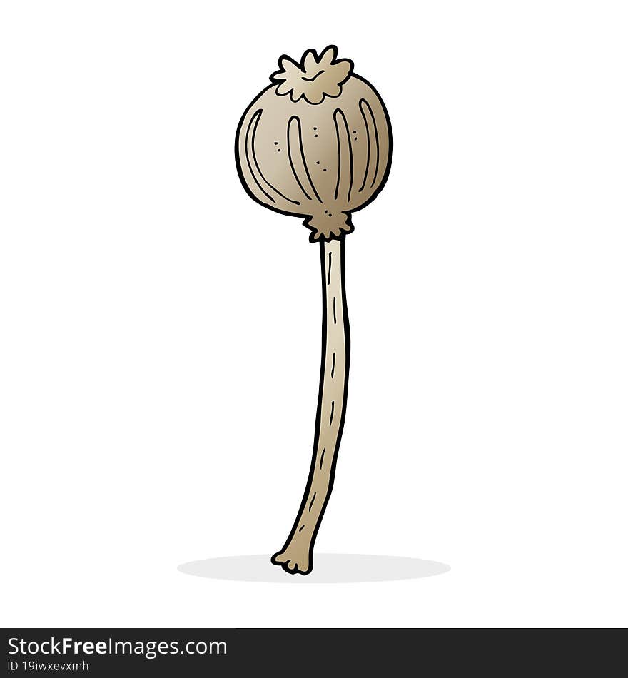 cartoon dried poppy