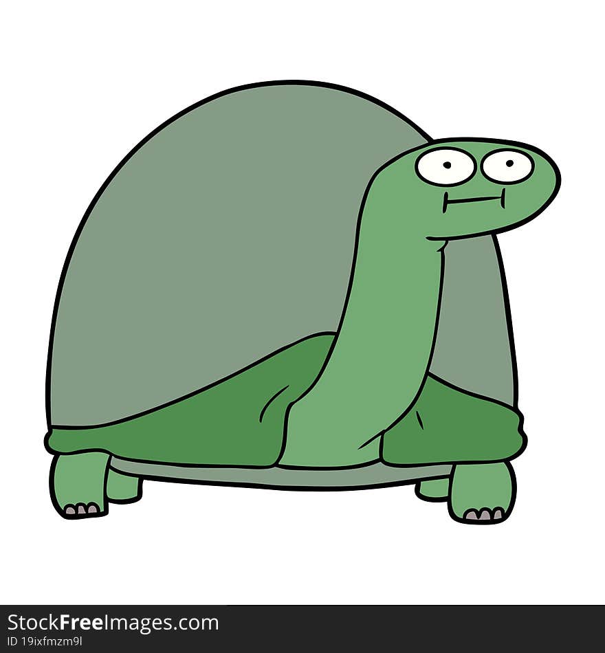 cartoon tortoise. cartoon tortoise