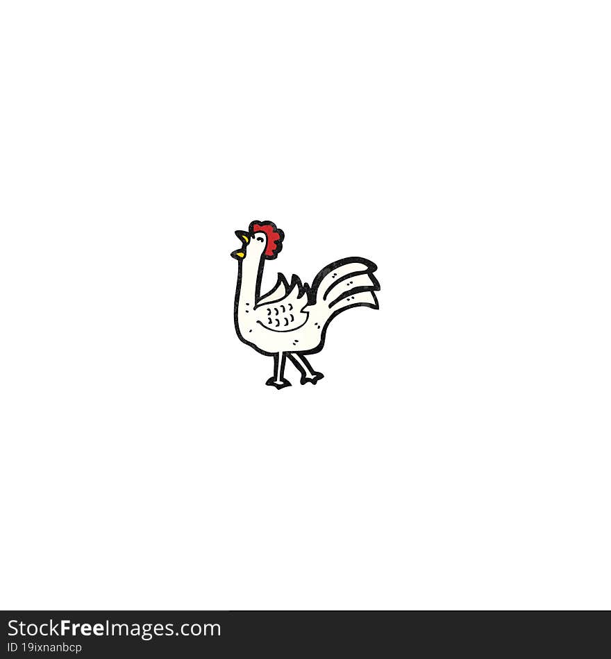 Cartoon Chicken