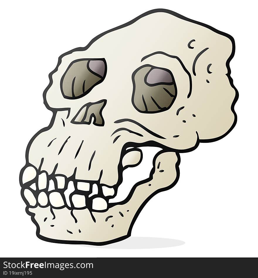 freehand drawn cartoon ancient skull