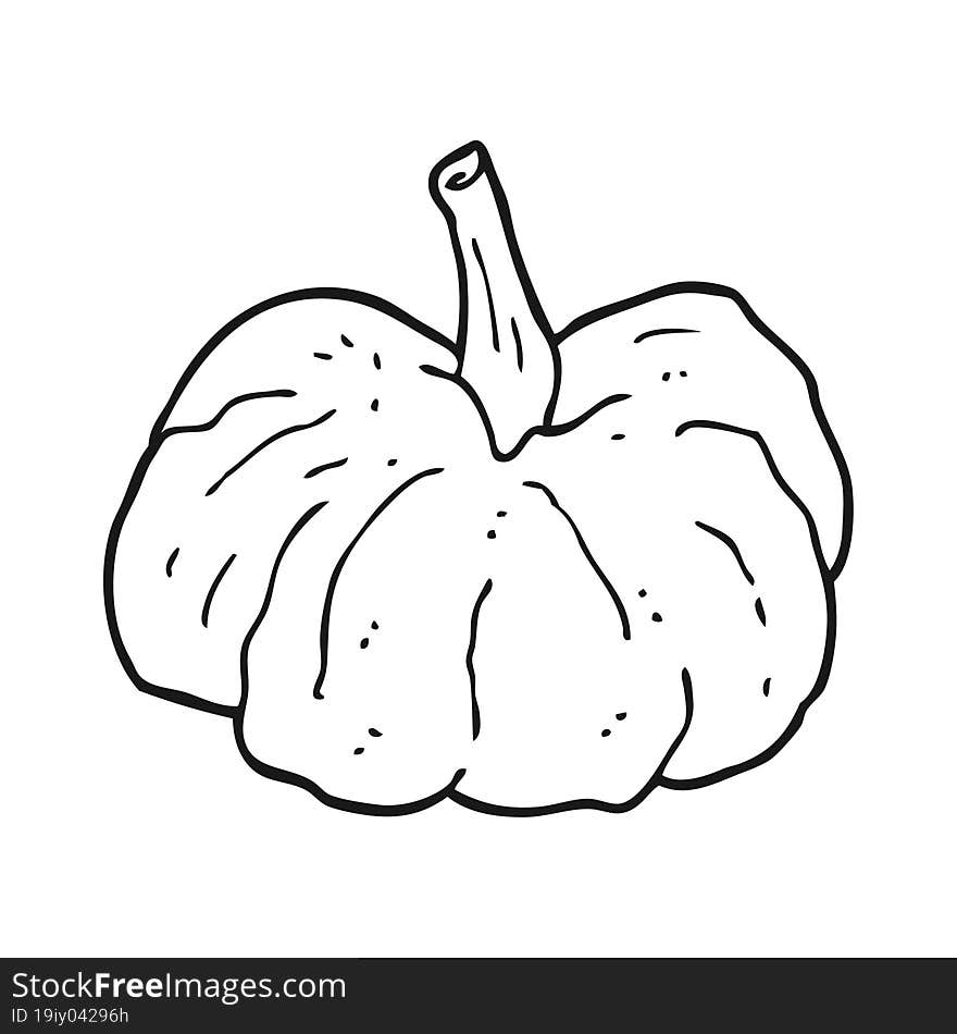 cartoon squash