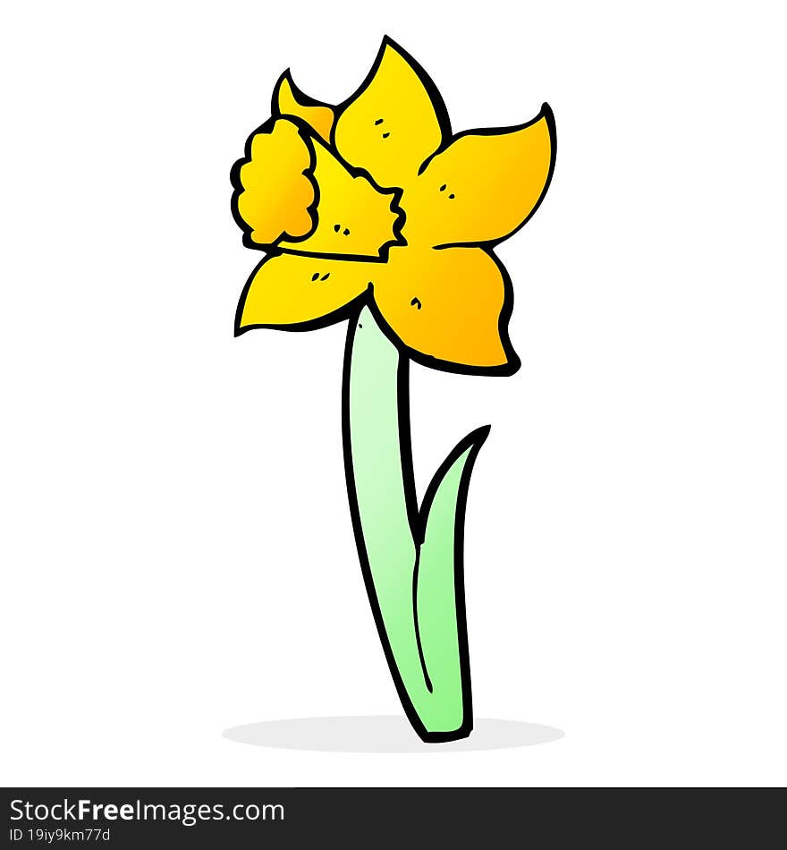 Cartoon Daffodil