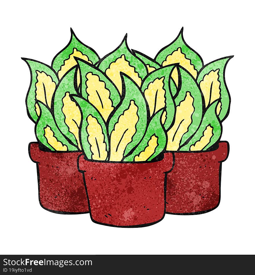 texture cartoon house plants