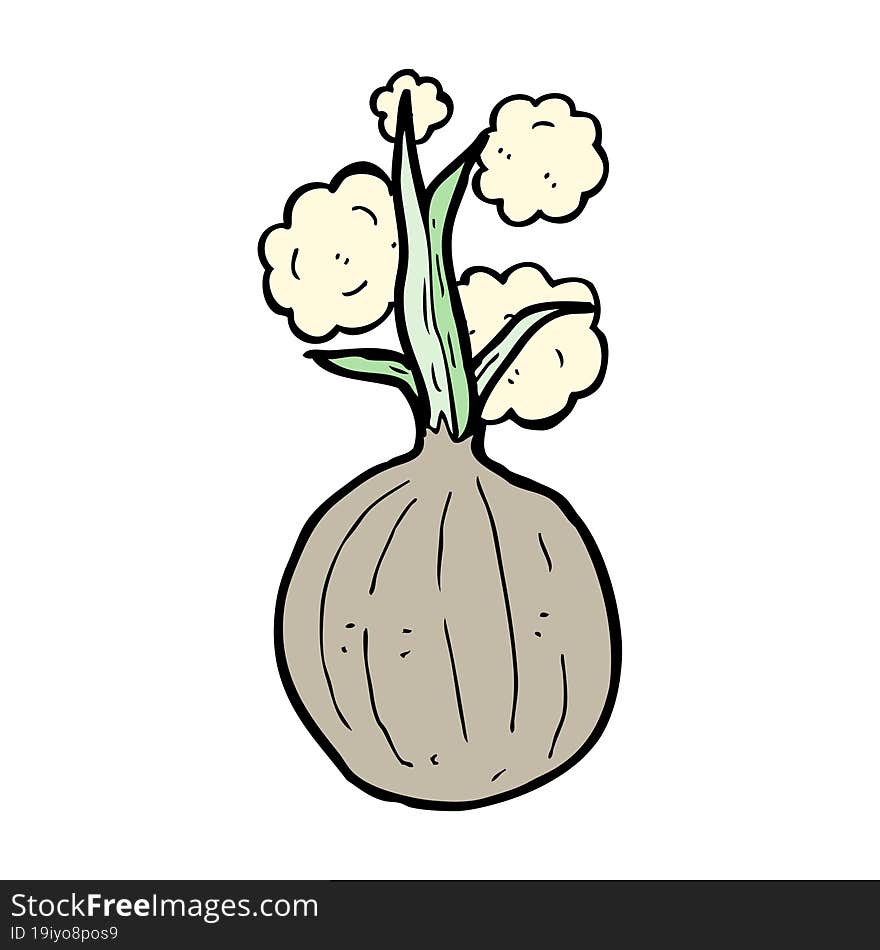 cartoon onion