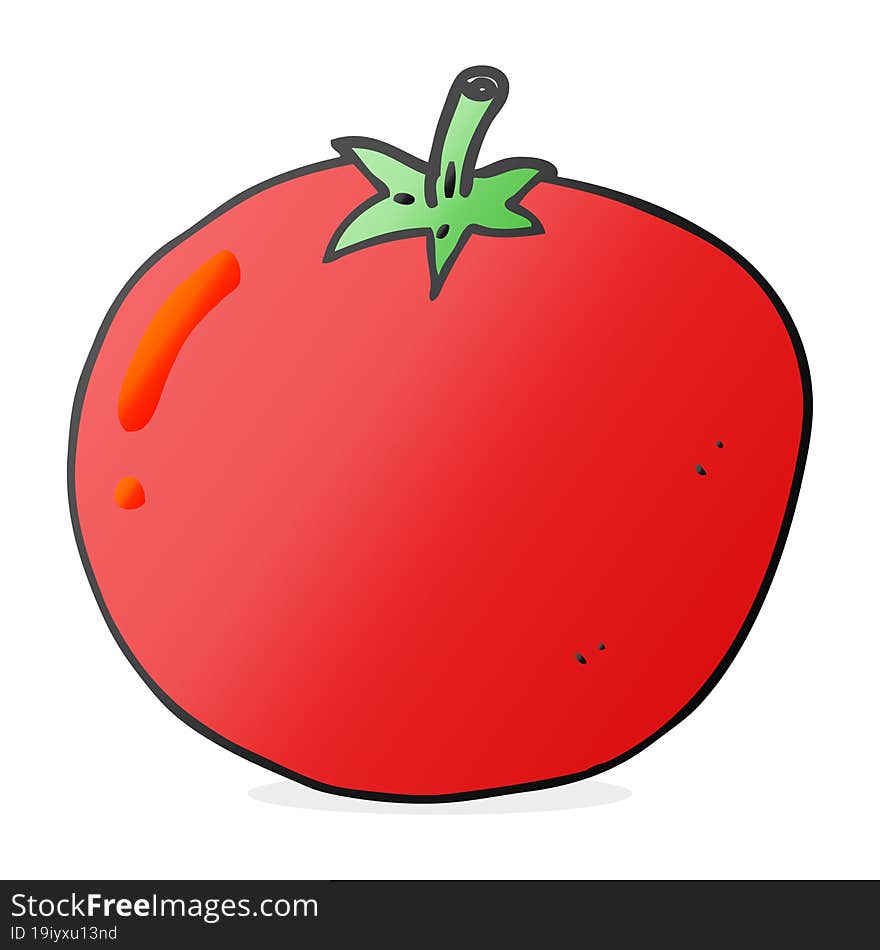 freehand drawn cartoon tomato