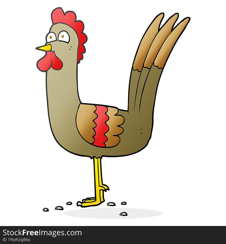 Cartoon Chicken