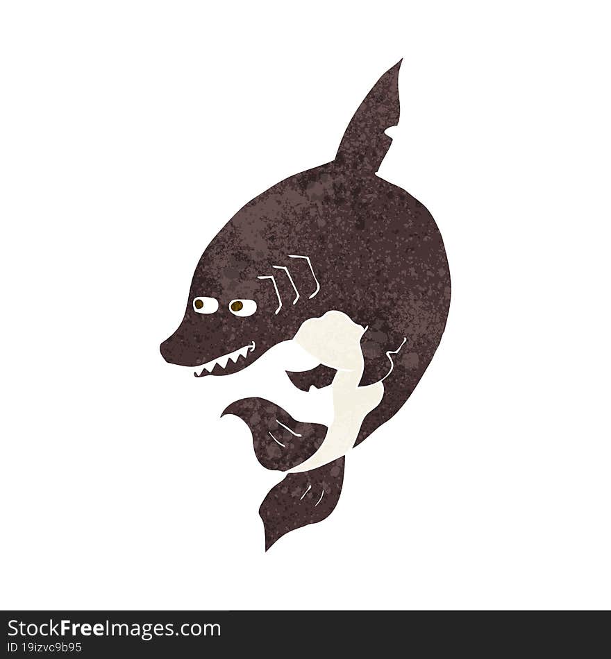 funny cartoon shark