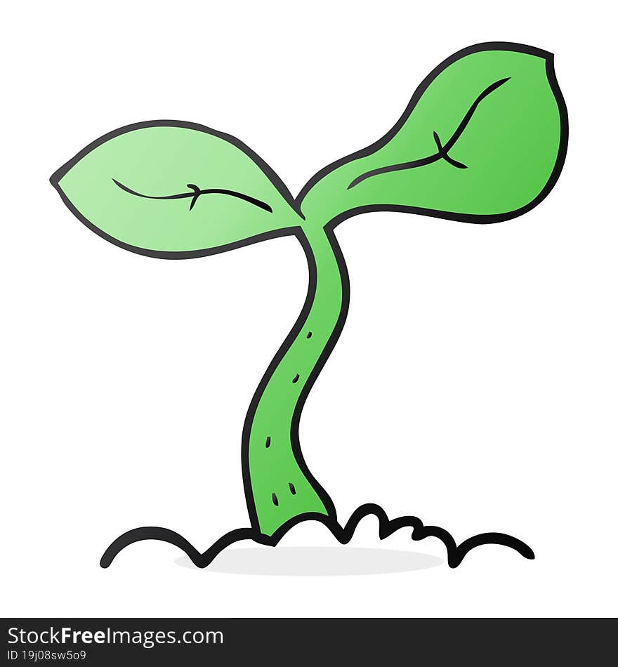 cartoon seedling growing