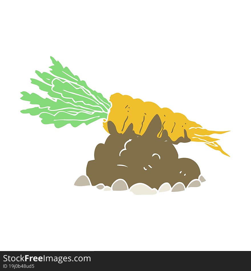 flat color illustration of carrot. flat color illustration of carrot