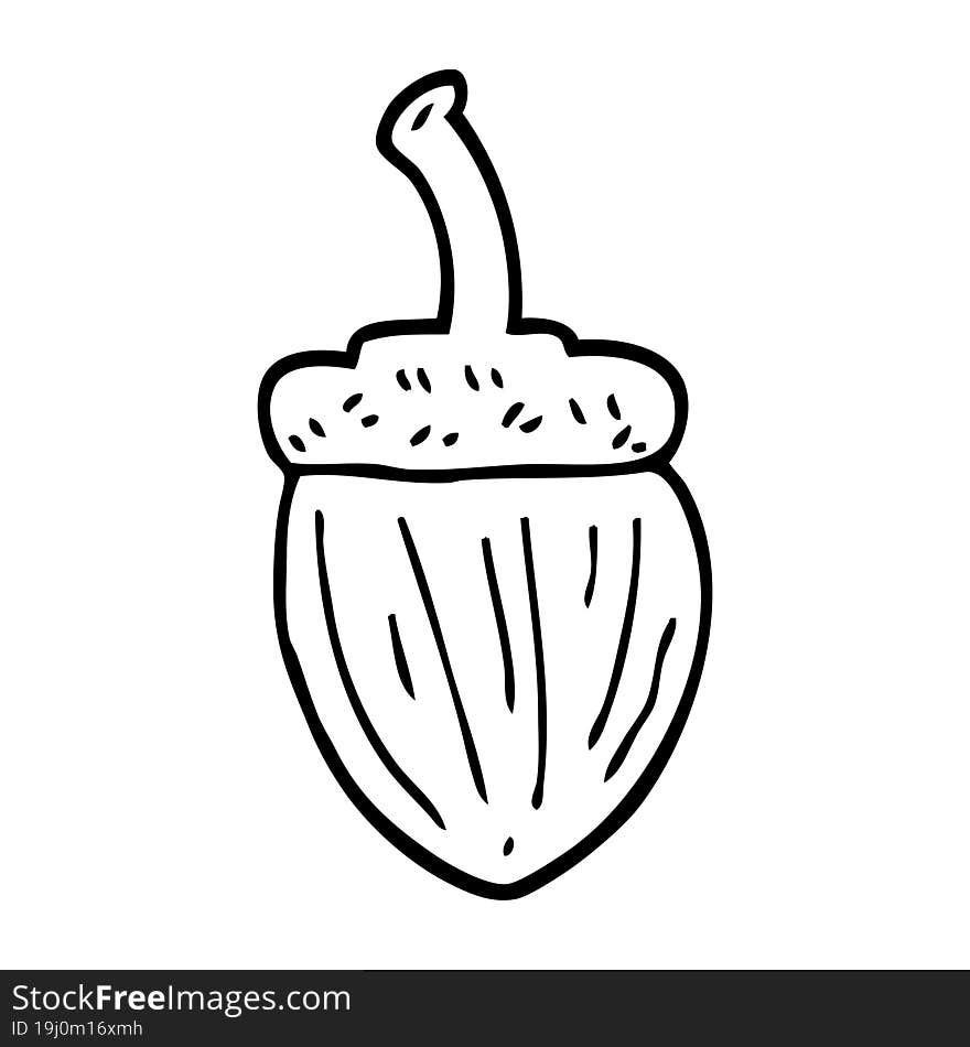 line drawing cartoon acorn