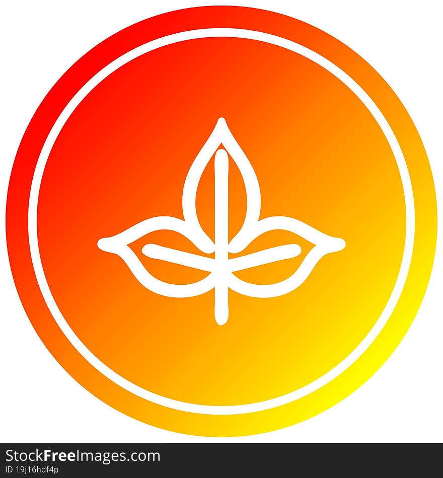 natural leaf circular icon with warm gradient finish. natural leaf circular icon with warm gradient finish