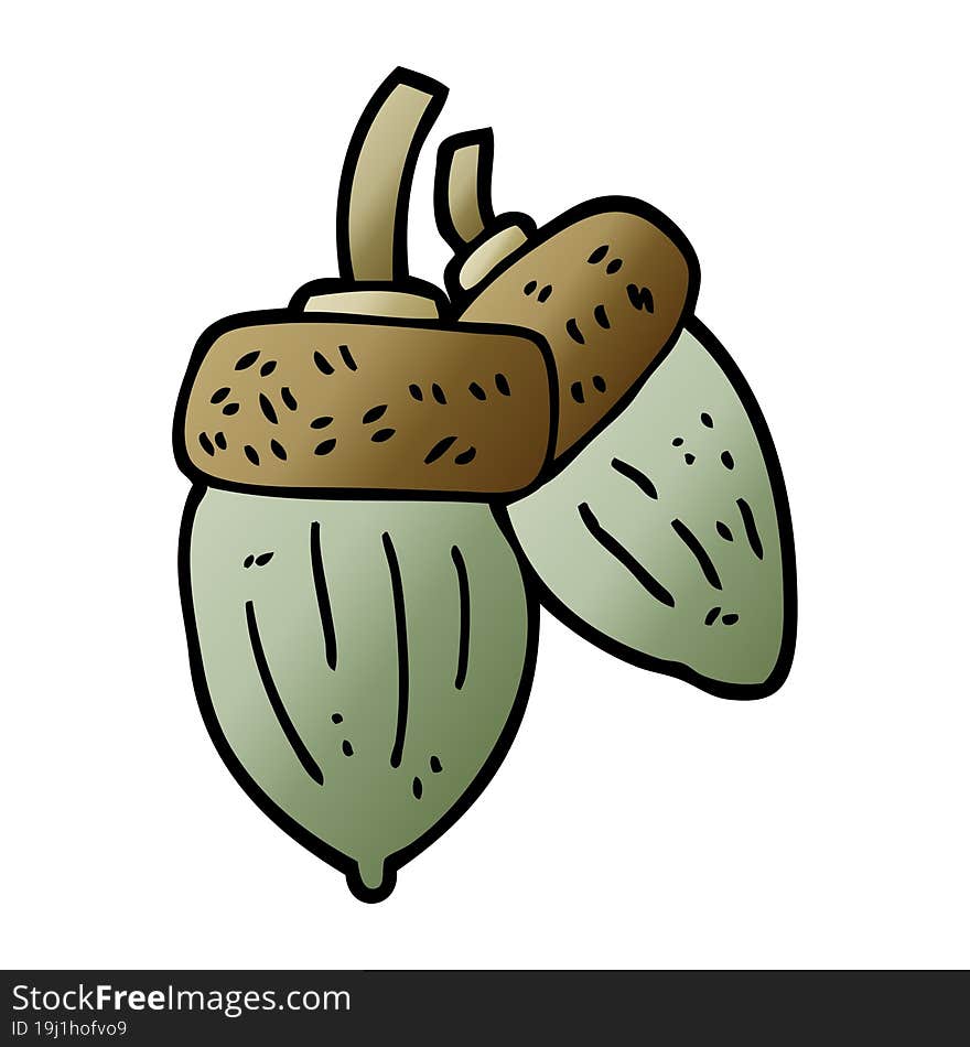 cartoon doodle acorn