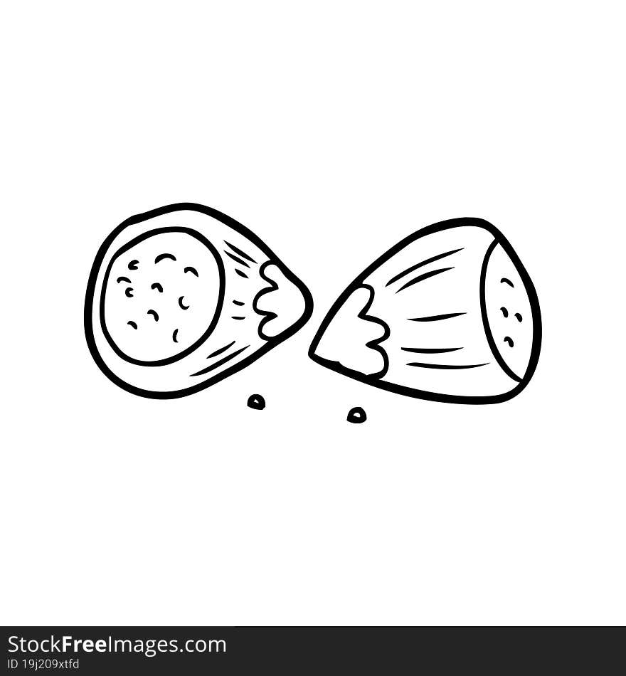 line drawing of a hazelnuts. line drawing of a hazelnuts