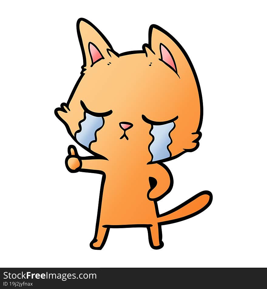 crying cartoon cat. crying cartoon cat