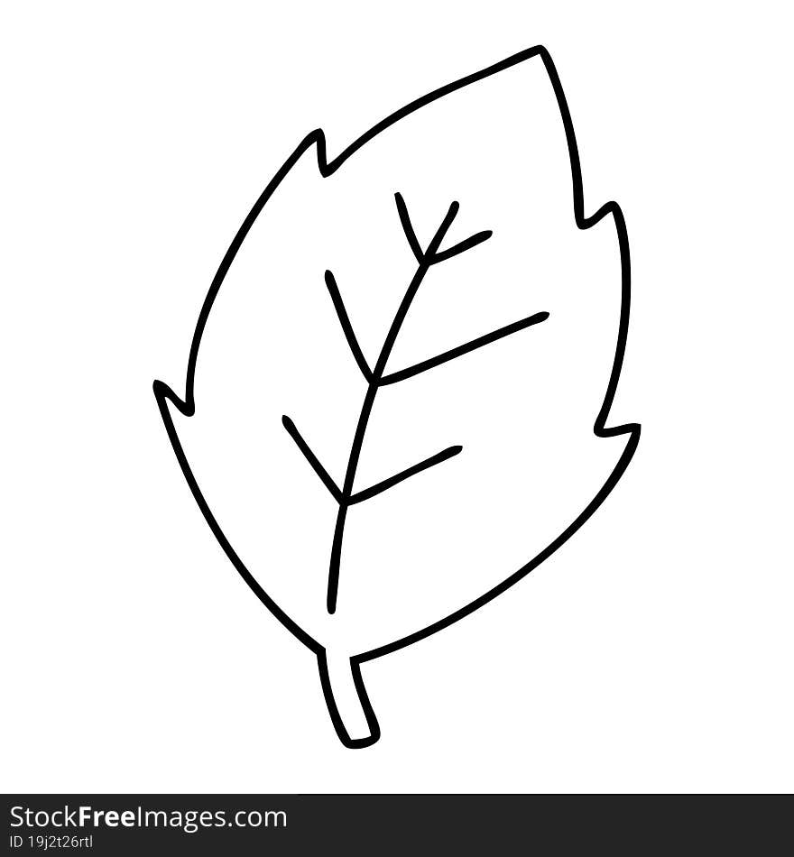 line doodle of a simple yet magnificent leaf. line doodle of a simple yet magnificent leaf