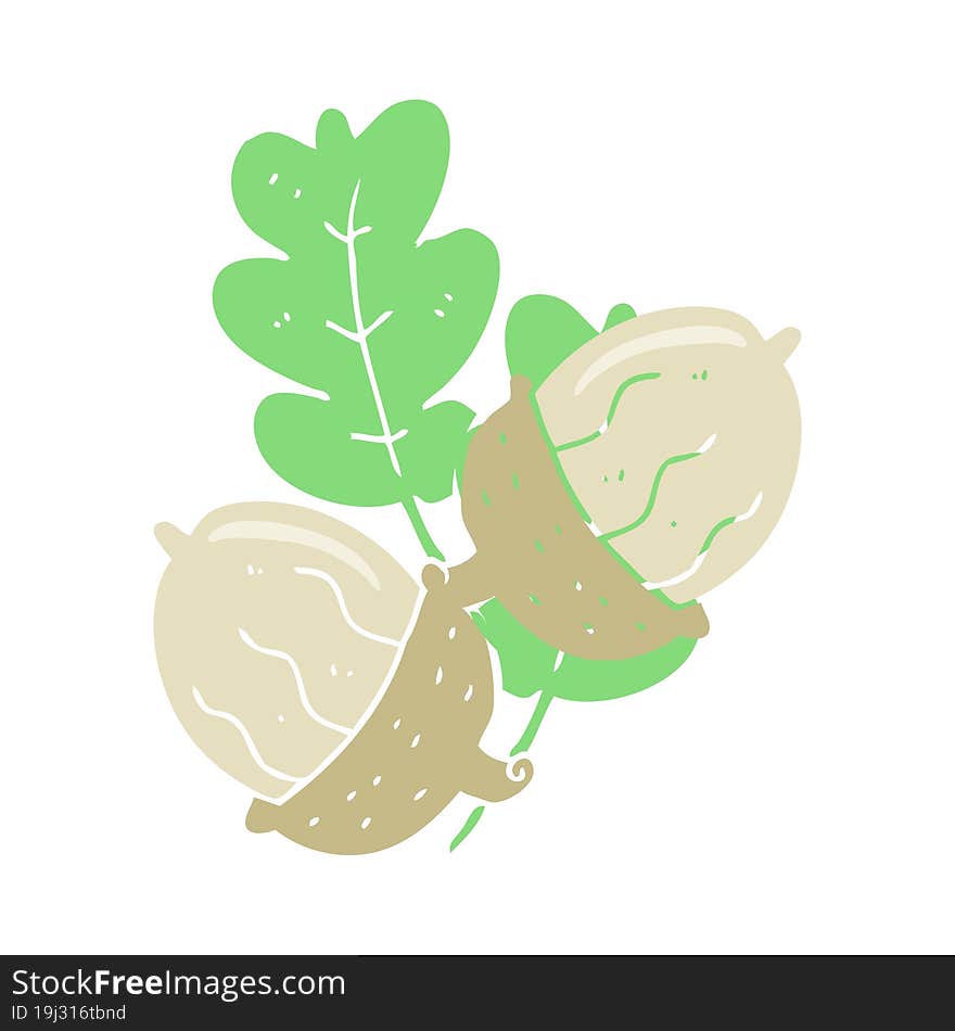 Flat Color Illustration Of A Cartoon Acorns