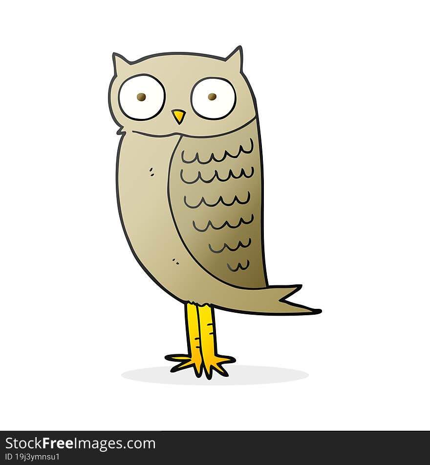 freehand drawn cartoon owl