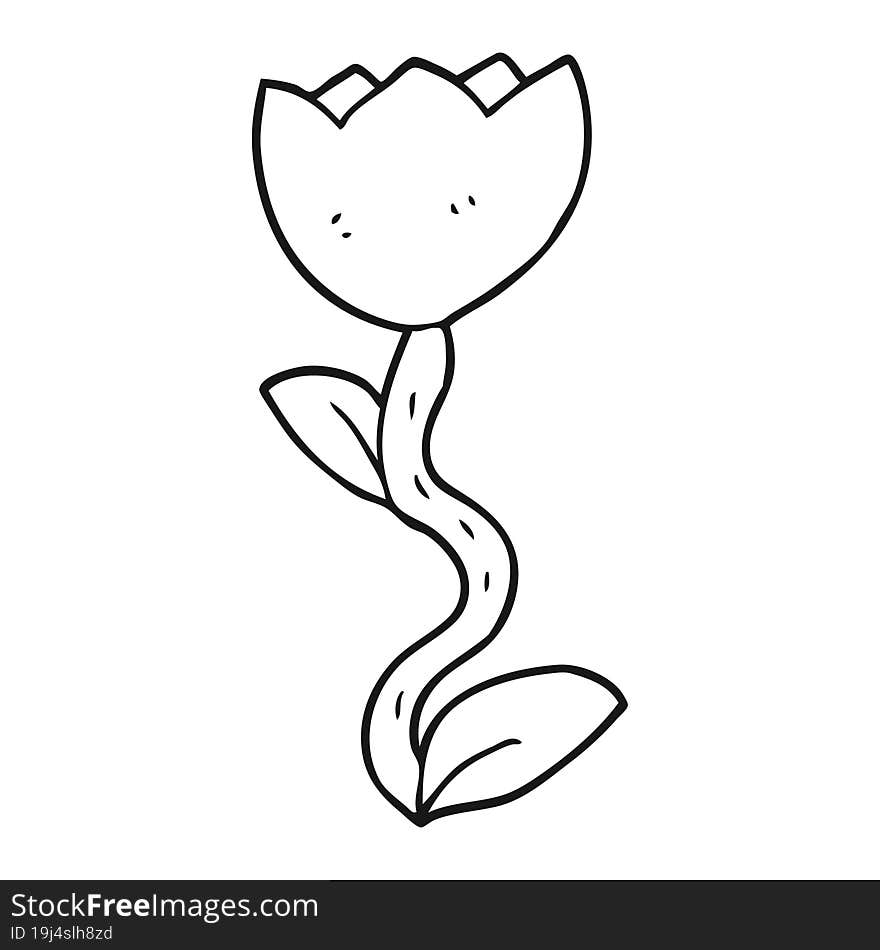 freehand drawn black and white cartoon flower