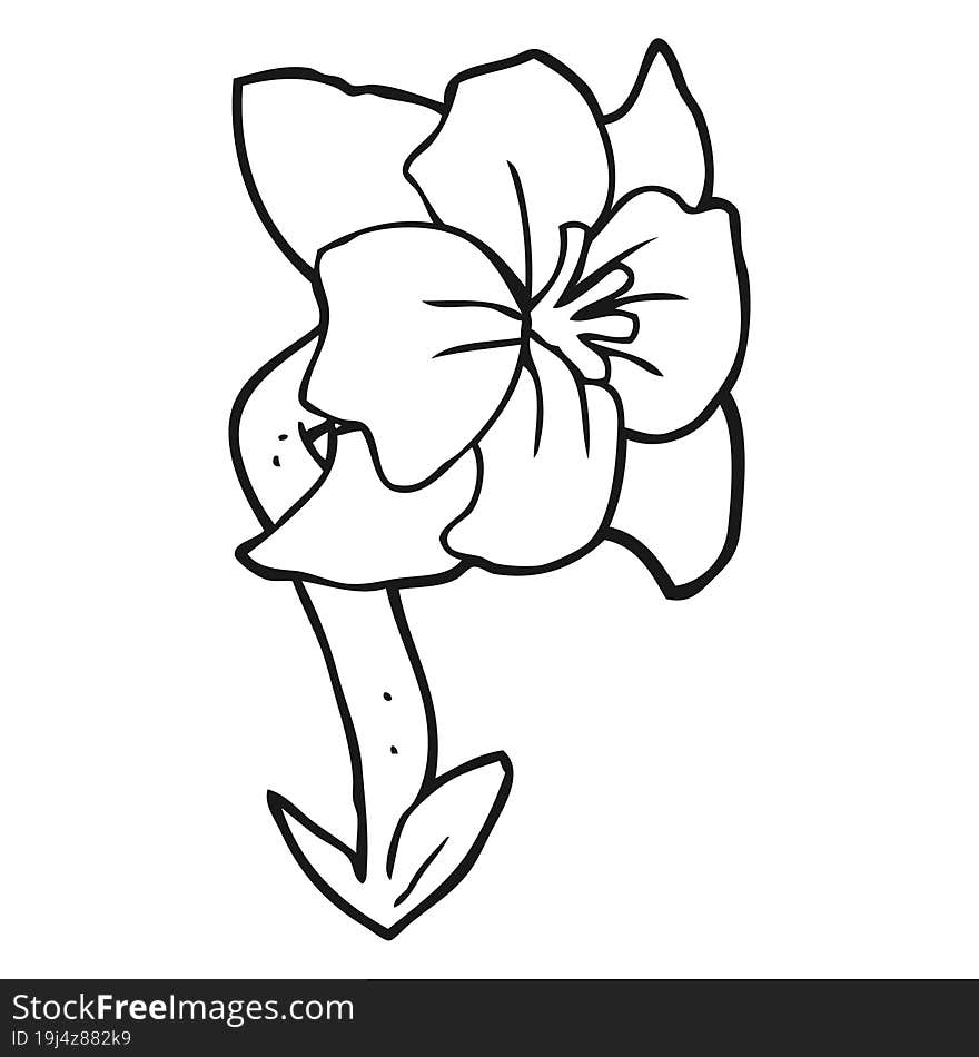 freehand drawn black and white cartoon flower