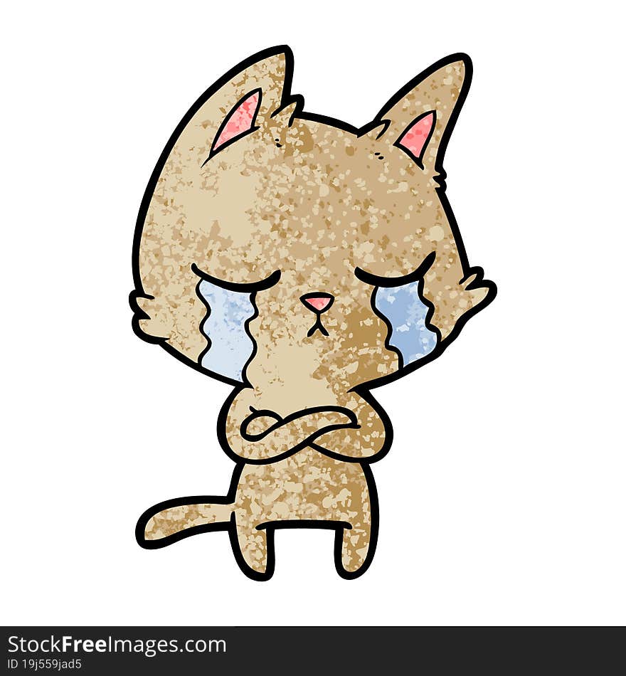 crying cartoon cat with folded arms. crying cartoon cat with folded arms