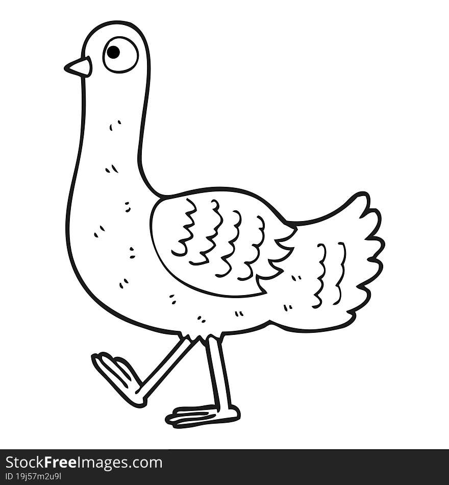 black and white cartoon pigeon