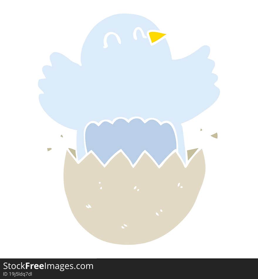 flat color style cartoon hatching chicken