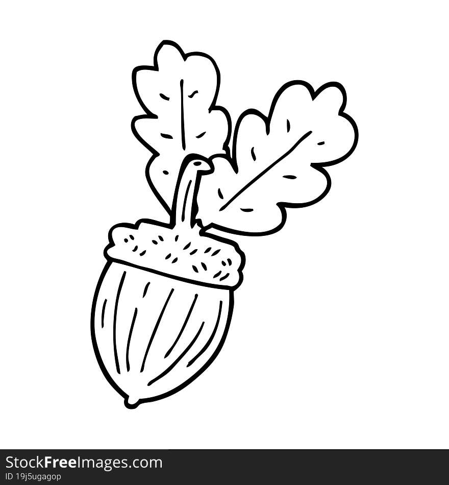 line drawing cartoon acorn