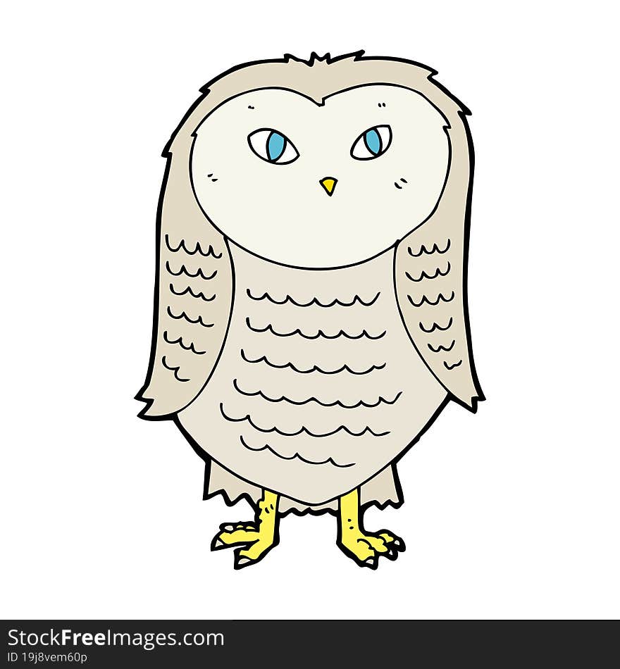 cartoon owl