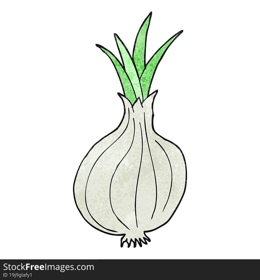 freehand textured cartoon onion