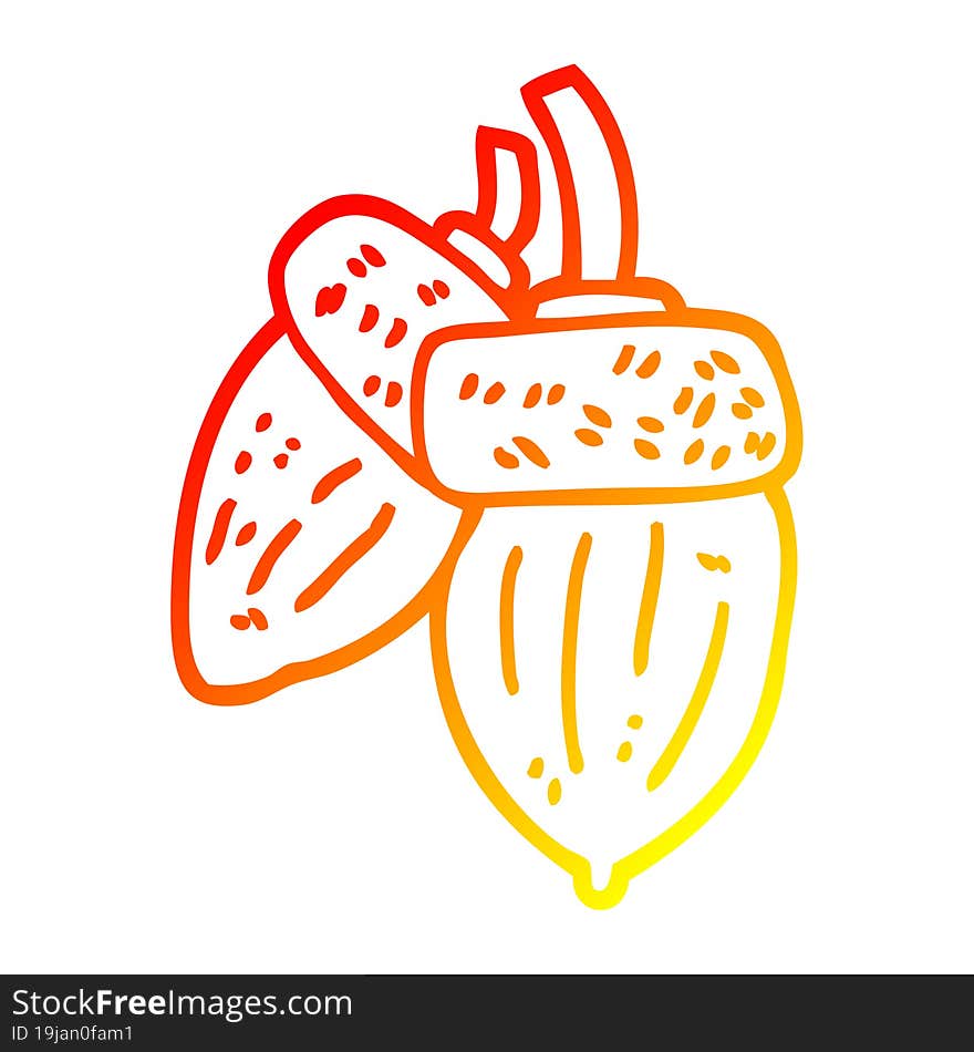 warm gradient line drawing cartoon acorn