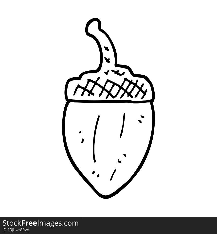 Line Drawing Cartoon Acorn