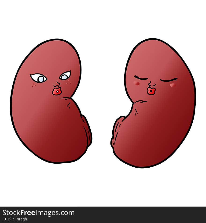 cartoon kidneys. cartoon kidneys