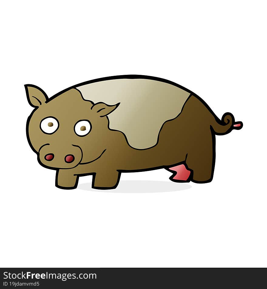 Cartoon Pig