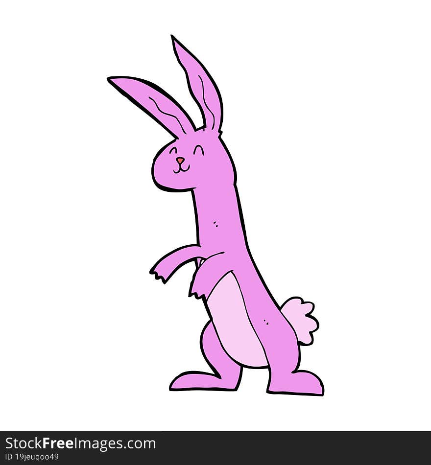 cartoon rabbit