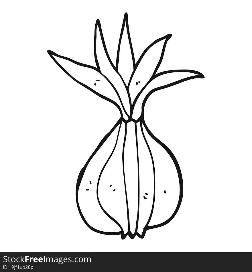 cartoon onion