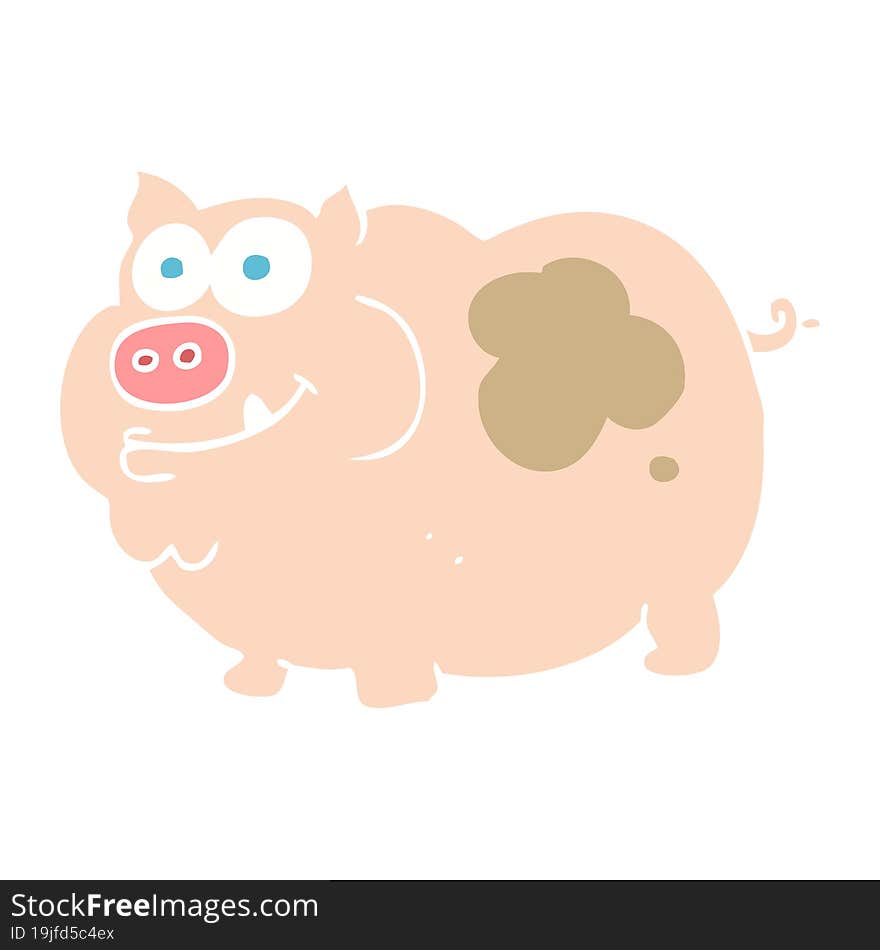 flat color illustration of pig. flat color illustration of pig