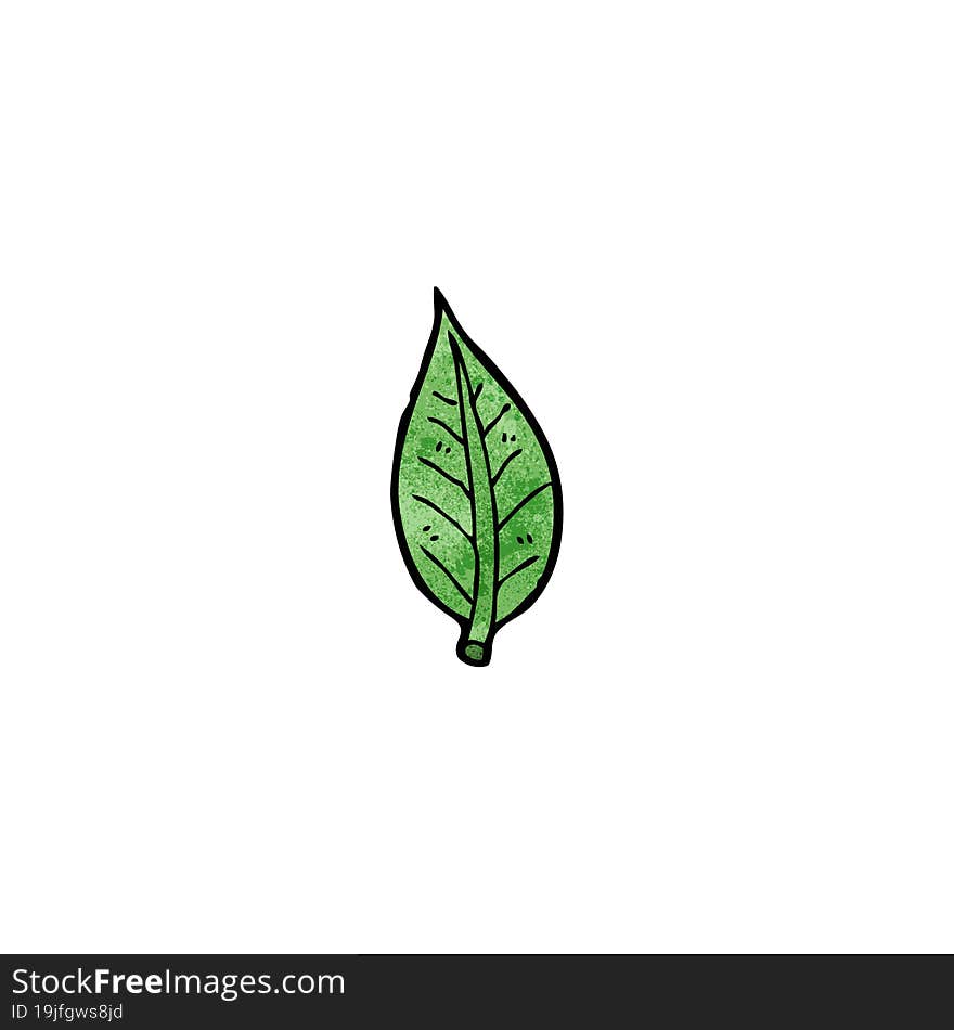 cartoon leaf