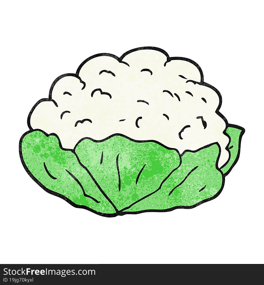 freehand textured cartoon cauliflower