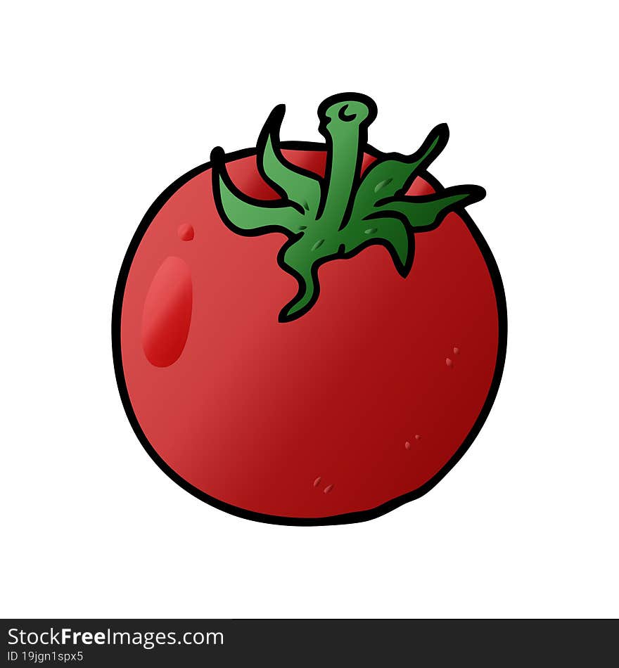 cartoon fresh tomato. cartoon fresh tomato