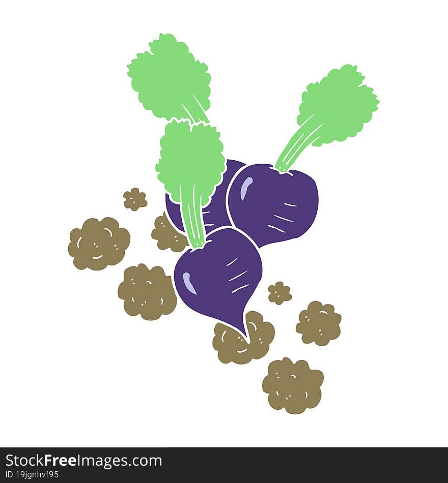 flat color illustration of beetroot. flat color illustration of beetroot