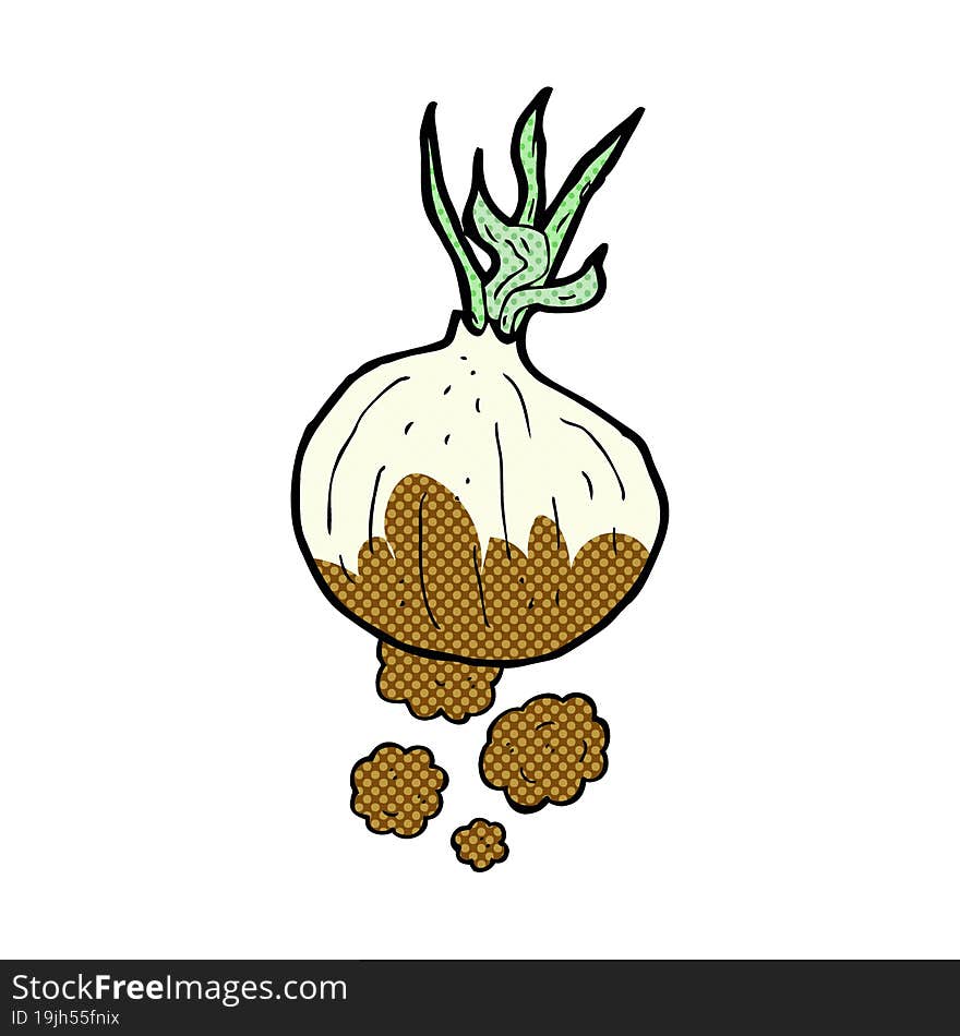 cartoon organic onion