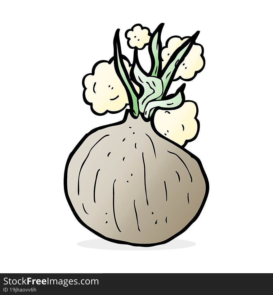 cartoon onion