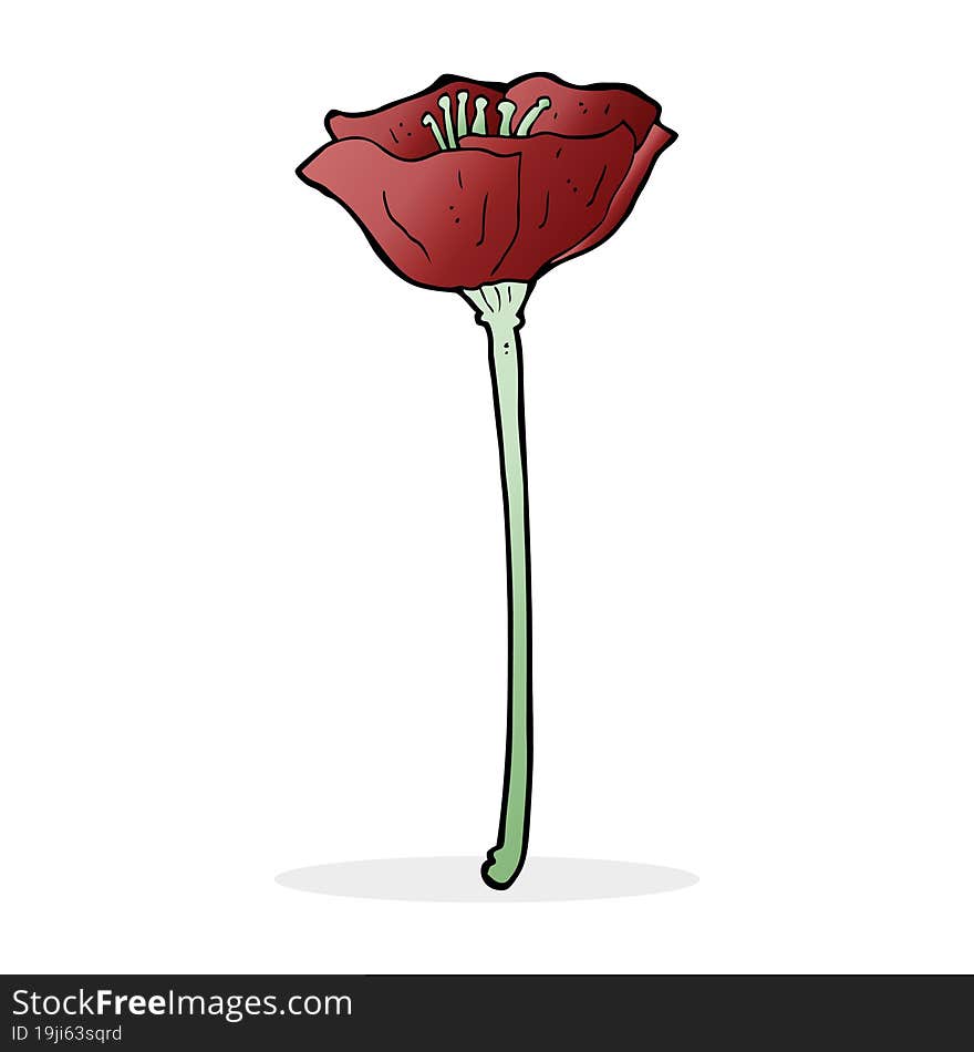 cartoon poppy