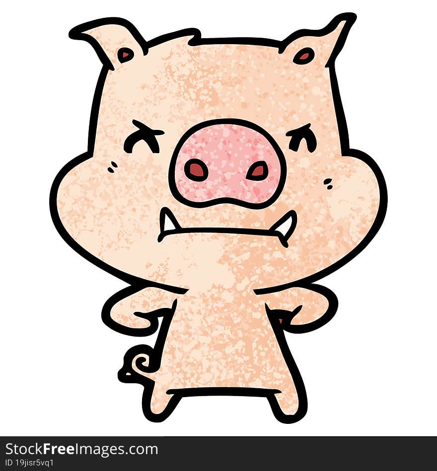 angry cartoon pig. angry cartoon pig