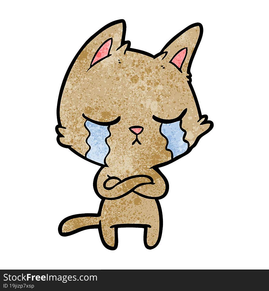 crying cartoon cat with folded arms. crying cartoon cat with folded arms