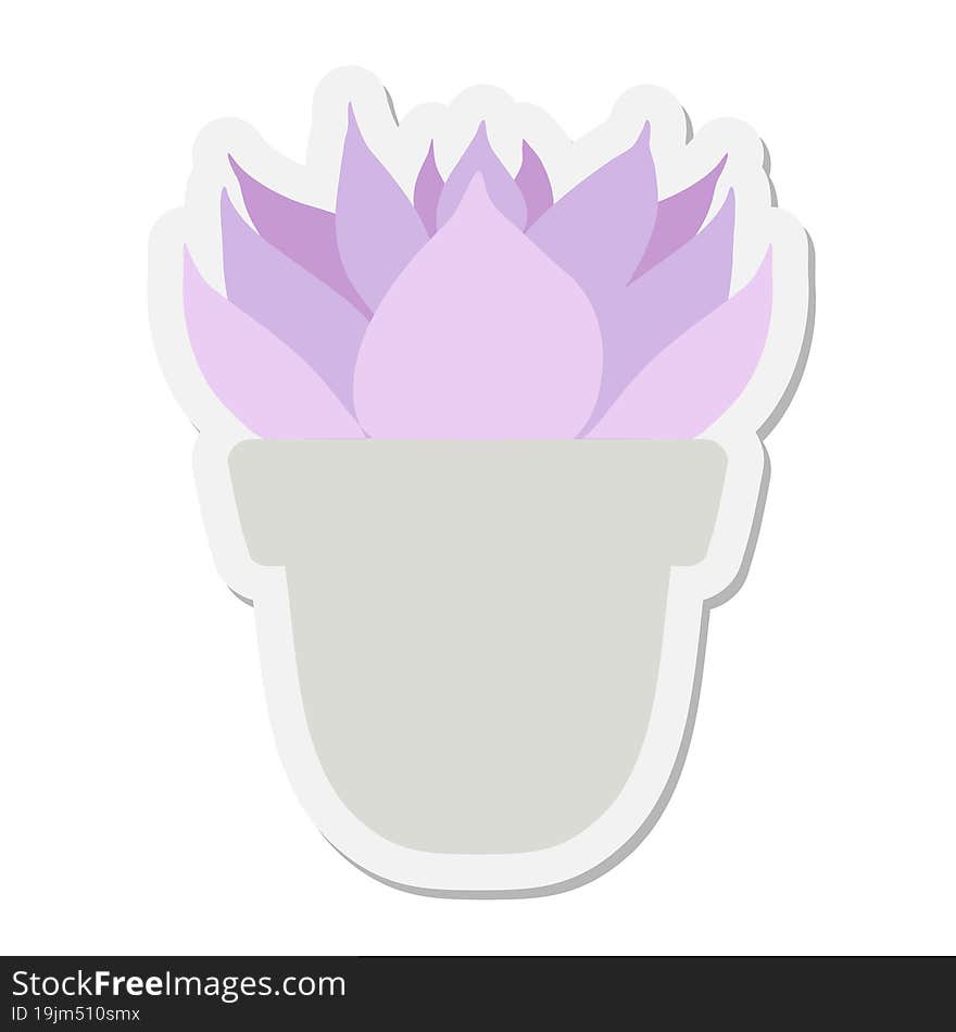 succulent plant sticker