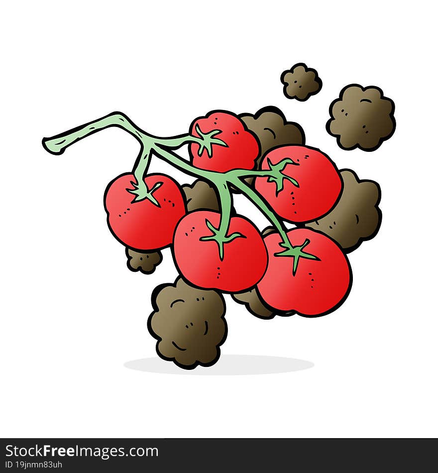 green tomatoes on vine illustration