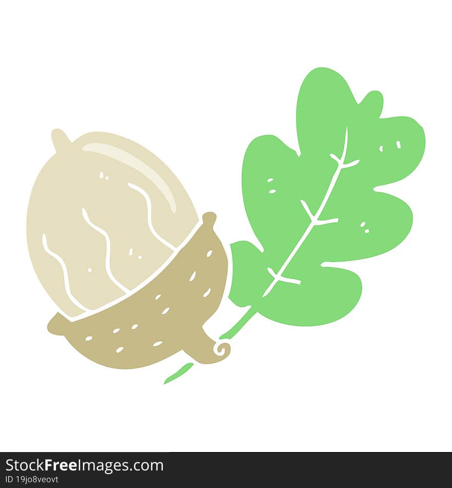 flat color illustration of a cartoon acorn