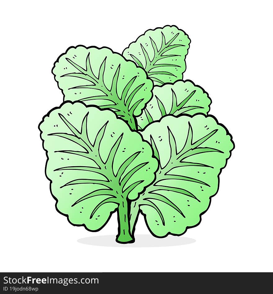 Cartoon Cabbage Leaves